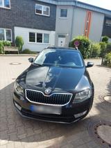 Skoda Octavia 3 Kombi Zahnriemen &  Kühlwa... - Skoda: Zahnriemen