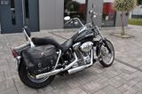 Harley-Davidson FXST Softail Standart - HARLEY-DAVIDSON 2004 SOFTAIL