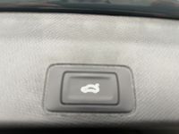 Cupra Terramar - Vorschau Bild 13