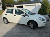Fiat Punto 1.2 Benzin  Rentnerfahrzeug | ... - Fiat Punto von privat