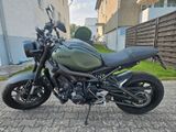 Yamaha XSR900 dunkelgrüne Folierung, kurzes Heck - Angebote entsprechen deinen Suchkriterien