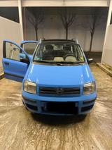 Fiat Automatik - Fiat Panda Gebrauchtwagen in Kassel