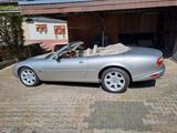Jaguar XK8 Cabriolet - Der Sommer kommt