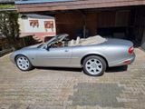 Jaguar XK8 Cabriolet - Der Sommer kommt