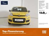 Fiat Panda 1.0 GSE Hybrid Pandina Icon - Fiat Panda Neuwagen