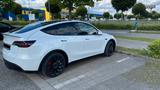 Tesla Model Y Performance AWD mit AHK - Tesla Model Y: Ahk