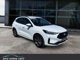 Ford Kuga 1.5 EB ST-Line Winterpak*5 J.Garantie - Ford Kuga mit Benzin-Antrieb: Geländewagen