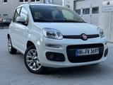 Fiat Panda Lounge *Automatik*PDC*Klima*Sitzheizung* - Fiat Panda Gebrauchtwagen in Hamburg