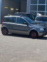 Fiat Panda 1,2 Classic - Fiat Panda Gebrauchtwagen in Karlsruhe