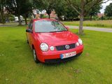 Volkswagen Polo IV Cricket Klima erst 53800km tüv neu - Volkswagen Polo mit Benzin-Antrieb: Kleinwagen, Cricket