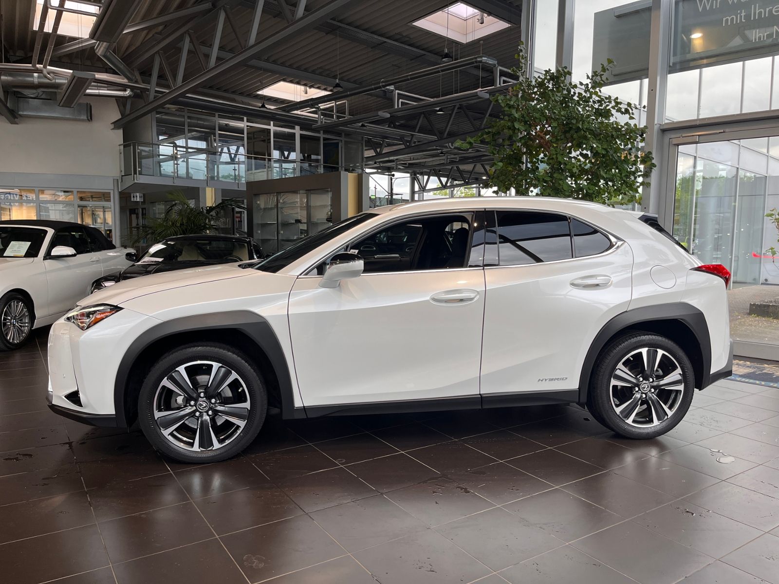 Fahrzeugabbildung Lexus UX 250 h Style AHK LED SHZ CARPLAY RFK