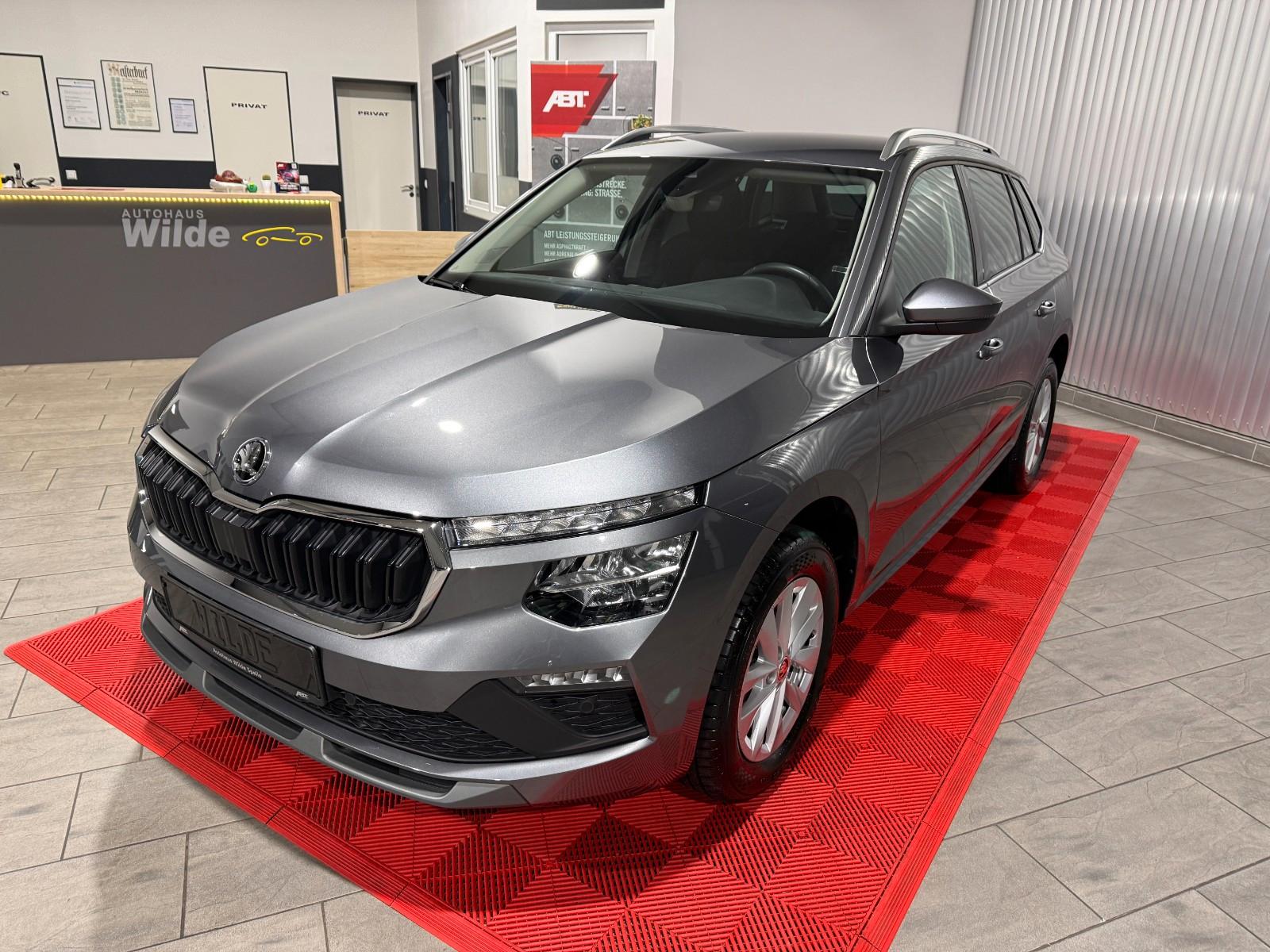 Skoda Kamiq Selection Automatik ACC DAB LED