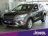 Ford Kuga Titanium AUTOM./NEUER MOTOR MIT 0 KM/AHK - : Geländewagen, A Km 0
