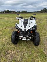 Can-Am Renegade - CAN-AM RENEGADE