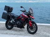 Triumph Tiger 900 GT Pro - Offers matching your search criteria