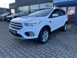 Ford KUGA Trend 1.5 Winterpaket+Einparkhilfe+Tempomat - Ford Kuga: Trend