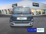 Fiat Panda Garmin Mild Hybrid *Klima *Audio - Fiat Panda mit Hybrid-Antrieb