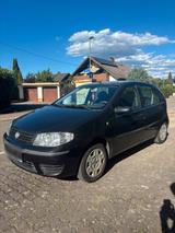 Fiat punto 1.2 2004 - Fiat Punto in Freiburg