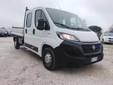 Iveco IVECO Daily 2.3 DIESEL 140 CV 7 POSTI - Iveco aus 2020