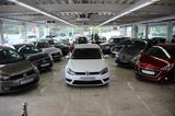 Volkswagen Golf VII Lim. Highline BMT R-Line-Paket - Volkswagen Golf: Teilleder