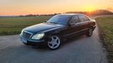 Mercedes-Benz S500L W220 V8 Youngtimer Lim... - Mercedes-Benz S-Klasse W220 mit Benzin-Antrieb