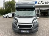 Peugeot Boxer MSG Pferdetransporter 3,5t Stablehopper - Peugeot Koffer