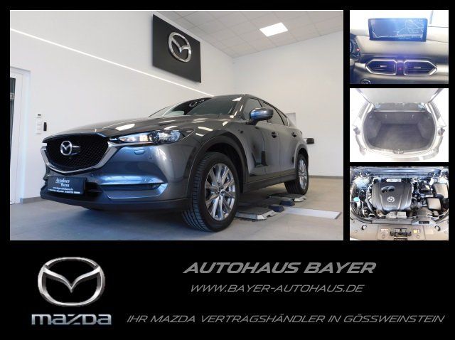 Mazda CX-5 SKY-G 165 Advantage /19"Alu/E-Klappe/