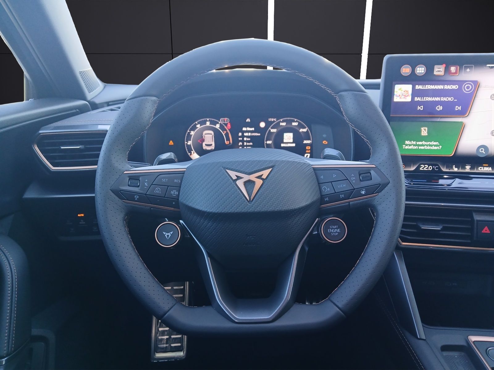 Fahrzeugabbildung CUPRA Formentor 4Drive TSI DSG LED ACC AHK SH LRHzg 36