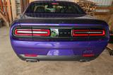 Dodge Challenger / Plum Crazy