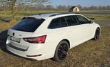 Skoda Superb 2.0 TDI SCR 140kW DSG 4x4 Ambition Co... - Skoda Superb mit Diesel-Antrieb: Allradantrieb