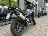 Triumph Tiger 900 GT Pro * 2025 * 108PS Vorführer - TRIUMPH TIGER 900 GT