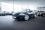 Jaguar XK Cabriolet*Toller Zustand*Vollleder*Holz* - Jaguar XK aus 2008: Cabrio