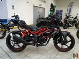 Benelli BN 125 Modell 2025 Euro5 +
