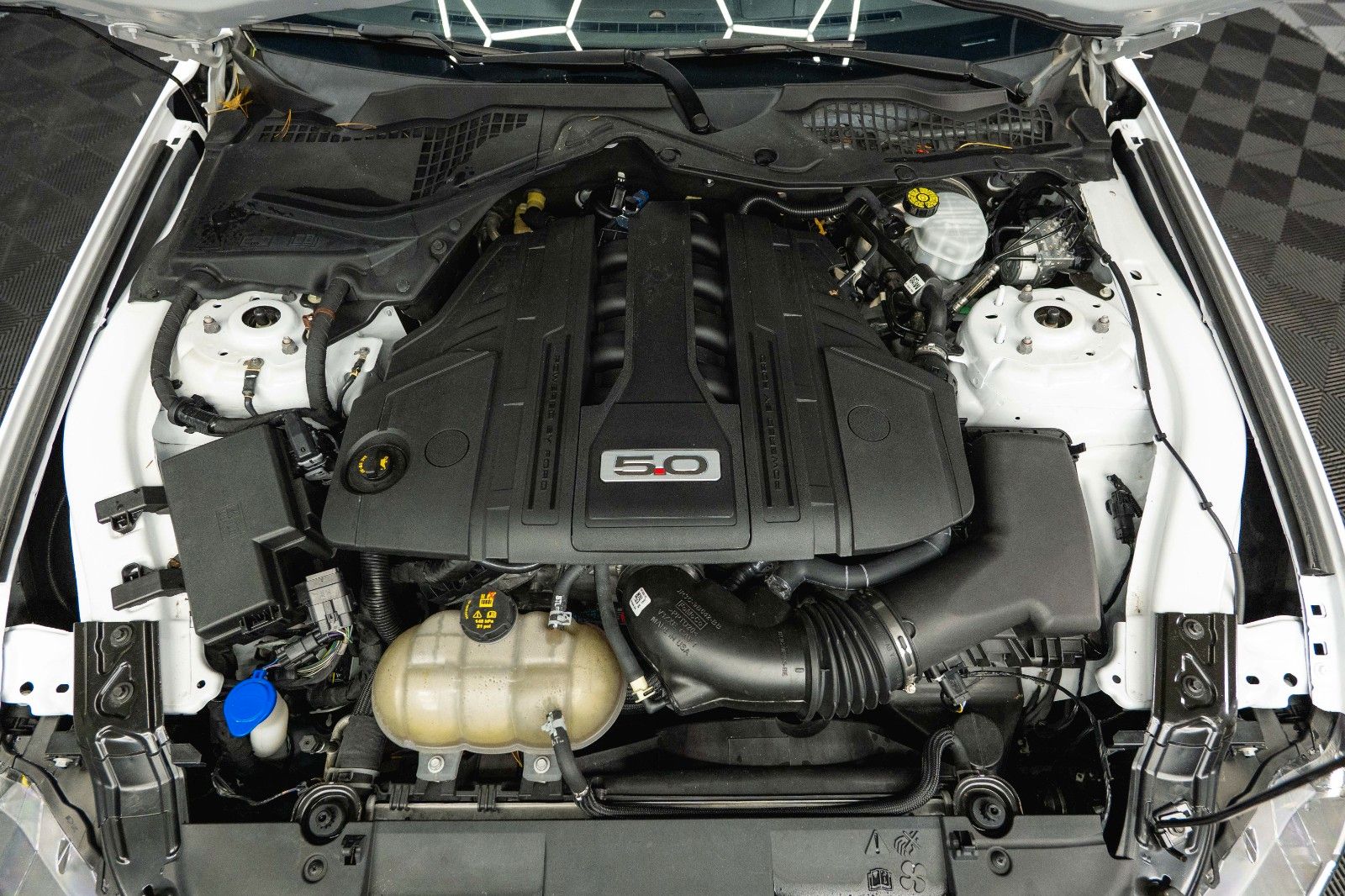 Fahrzeugabbildung Ford Mustang Shelby GT 500 5.0 V8 Modell 2024 *6Gang*