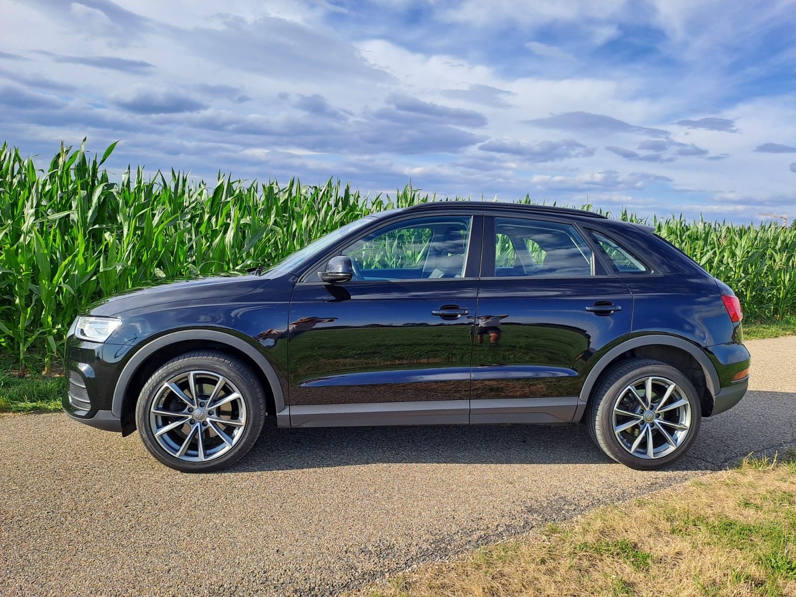AUDI Q3 1.4 TFSI ultra cylinder on demand -