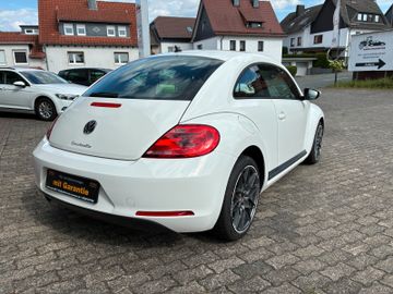 Volkswagen Beetle - 4