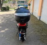NIU MQI - GT  Sport TÜV Neu  - Preisvorschlag  - NIU MQI