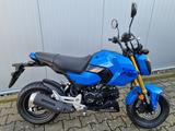 Honda MSX 125 Grom 2025 *TZ 03/26 *6 J. Garantie*