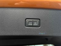 Audi Q8 - Vorschau Bild 8