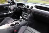 Ford Mustang Fastback Bullitt 5.0 V8 - MagneRide, Rec - Ford Mustang: Bullitt