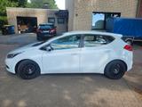 Kia Ceed 1.6 CRDi / Navi / Leder / Kamera - Kia cee'd / Ceed von privat