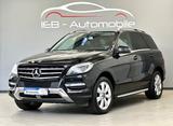 Mercedes-Benz ML 250 CDI BlueTec 4M/7G/Bi-Xenon/Navi/AHK/Euro6 - Mercedes-Benz ML 250 aus 2012