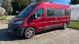 Westfalia Amundsen 600 E - Westfalia Kastenwagen Euro5