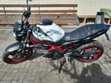Suzuki SV 650 rot/weiß 740 km unfallfrei - SUZUKI 650 R