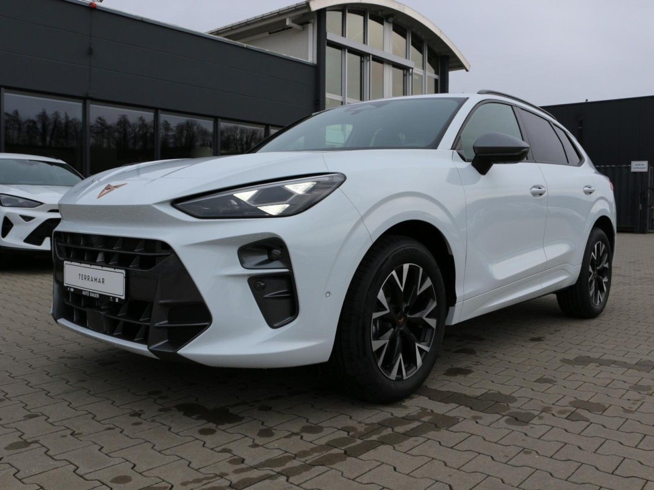 Fahrzeugabbildung CUPRA Terramar 1.5 eTSI PS DSG