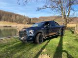Ford F 150 - Ford F 150 mit LPG-Antrieb: Geländewagen