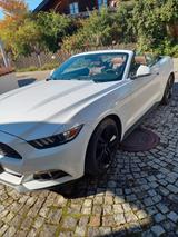 Ford Mustang 2.3 EcoBoost - - Ford mit Benzin-Antrieb: Cabrio, Schaltgetriebe