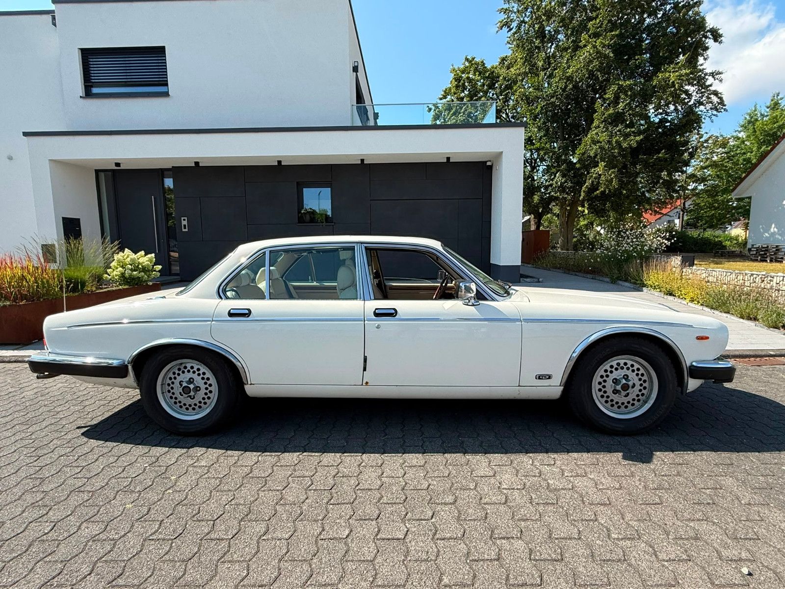 Fahrzeugabbildung Jaguar XJ12 Double Six Serie 3 Daimler H-KENNZEICHEN