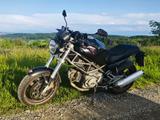 Ducati Monster M600 (gedrosselt) - Offers matching your search criteria