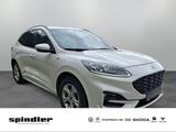 Ford Kuga 2.0 TDCi EcoBlue 4x4 / Navi, B&O, AHK, LED